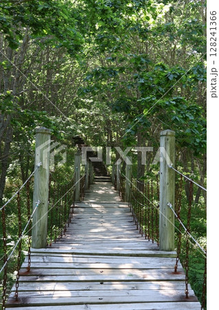 釧路市湿原展望台 遊歩道の吊り橋 128241366