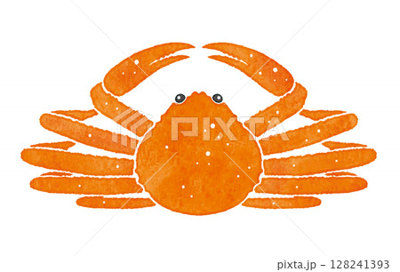 美味しそうな蟹のイラスト カニ ズワイガニ 美味しそうな蟹のイラスト カニ ズワイガニ 128241393