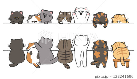 猫(エキゾチックショートヘア)のボーダーセット 猫(エキゾチックショートヘア)のボーダーセット 128241696