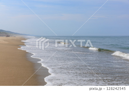 大竹海岸（茨城県鉾田市） 128242545