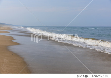 大竹海岸（茨城県鉾田市） 128242550