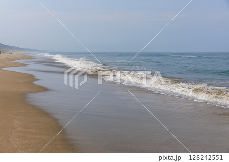 大竹海岸（茨城県鉾田市） 128242551