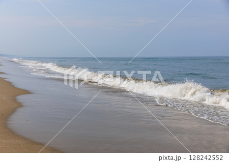 大竹海岸（茨城県鉾田市） 128242552