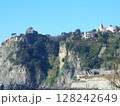ヨーロッパ旅行中のハイキングで見上げた景色 128242649
