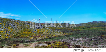 A dirt path winding through lush green fields bordered by an old stone fence against a wide blue sky. Concept of outdoor adventure, hiking, rural travel, nature conservation and eco-tourism. A dirt path winding through lush green fields bordered by an old stone fence against a wide blue sky. Concept of outdoor adventure, hiking, rural travel, nature conservation and eco-tourism. 128242758