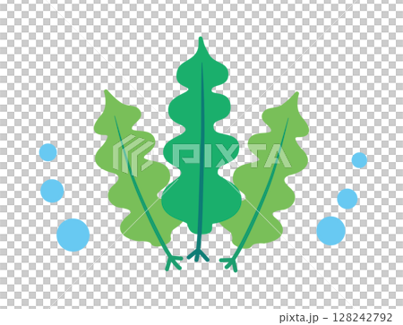 ワカメ　海　海藻　イラスト 128242792