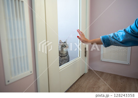 Hand of female owner rests on glass door of cat hotel room. Pet accommodations for safe, cat service Hand of female owner rests on glass door of cat hotel room. Pet accommodations for safe, cat service 128243358