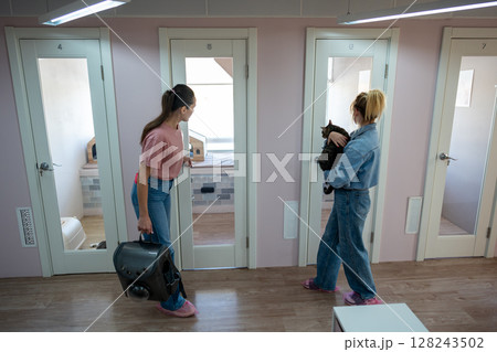 Cat owner arrive to checkin pet at animal hotel. Pet facility, hotel introduction, staff interaction Cat owner arrive to checkin pet at animal hotel. Pet facility, hotel introduction, staff interaction 128243502