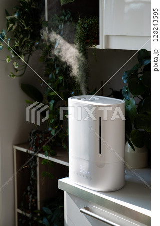 Humidifier at home, moistens dry air surrounded by houseplants Humidification, climate equipment Humidifier at home, moistens dry air surrounded by houseplants Humidification, climate equipment 128243595