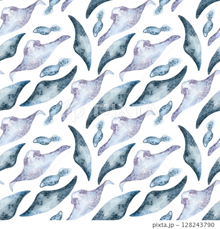 Underwater creatures in soft blue gray tones watercolor seamless pattern isolated on white. Stingrays monochrome hand drawn on repeated texture for swimwear, ocean themed packaging, marine textile. 128243790