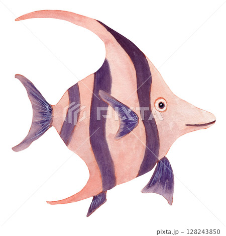 Watercolor decoration pink and purple fantasy fish Watercolor decoration pink and purple fantasy fish 128243850