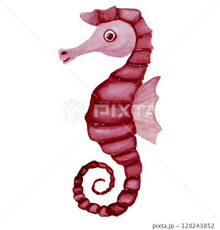 Watercolor sketch of shadow of pink fantasy seahorse Watercolor sketch of shadow of pink fantasy seahorse 128243852