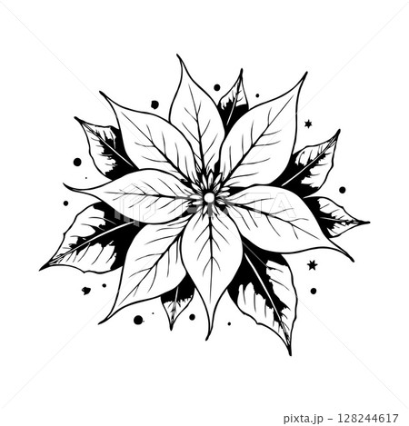 Stylized poinsettia flower with ink line detailing, hand-drawn style on white background, concept of botanical flora and festive decoration 128244617
