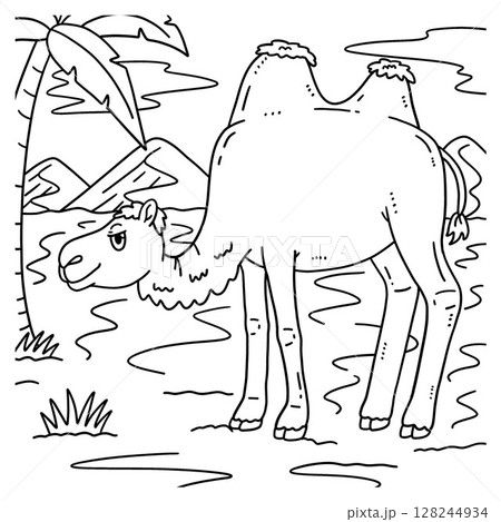 Desert Bactrian Camel Coloring Page for Kids  128244934