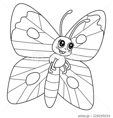 Insect Cabbage White Butterfly Isolated Coloring  128245014