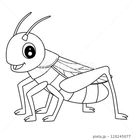 Insect Cricket Animal Isolated Coloring Page  128245077