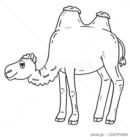 Bactrian Camel Isolated Coloring Page for Kids  128245080