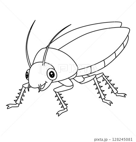 Insect Cockroach Animal Isolated Coloring Page  128245081
