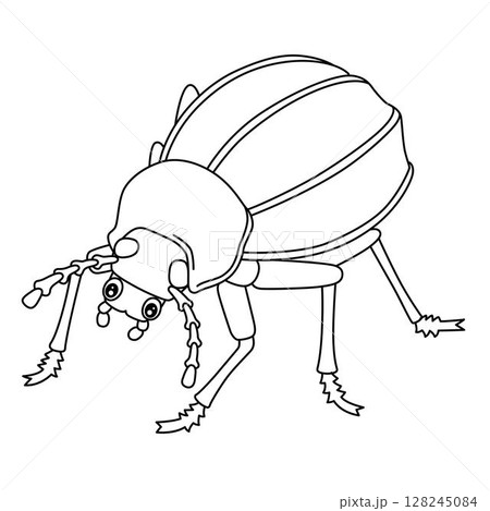 Insect Toktokkies Animal Isolated Coloring Page  128245084