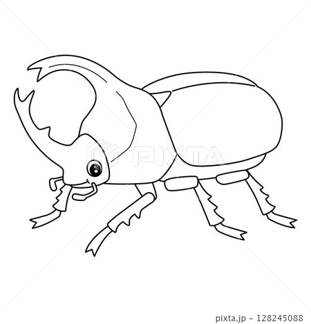 Insect Rhinoceros Beetle Animal Isolated Coloring  128245088