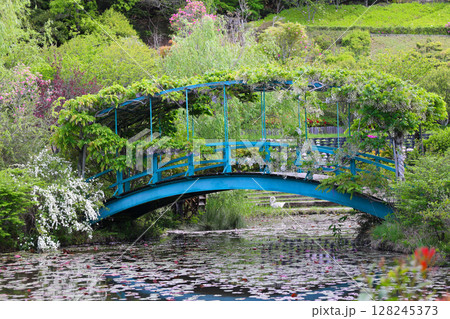 レッドヒル ヒーサーの森　スイレン池　と　オリーブ橋 128245373