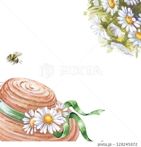 A square frame with hand-drawn watercolor elements. A woman's straw hat with a green ribbon, a bouquet of daisies and a striped bumblebee. A summer composition with an empty place to insert. A 128245872