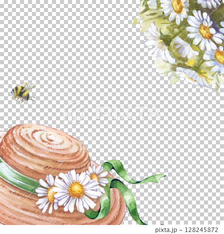 A square frame with hand-drawn watercolor elements. A woman's straw hat with a green ribbon, a bouquet of daisies and a striped bumblebee. A summer composition with an empty place to insert. A 128245872