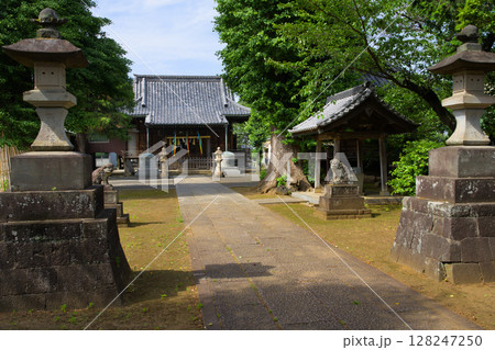 赤塚諏訪神社 東京都板橋区大門 赤塚諏訪神社 東京都板橋区大門 128247250