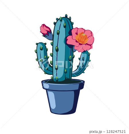 Cactus in a blue pot with blooming pink flowers, depicted in a colorful, cartoon style on a white background, representing nature Cactus in a blue pot with blooming pink flowers, depicted in a colorful, cartoon style on a white background, representing nature 128247521