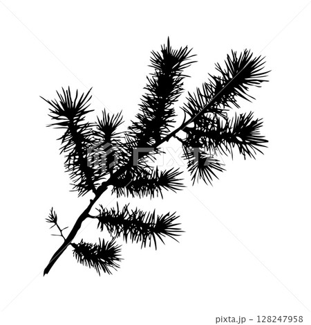 Silhouette Christmas branch is thin and has many small branches coming off of it on white background. Vector illustration 128247958