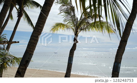 Bright tropical beach with palm trees and white sand near clear morning ocean waters, reflecting tranquil island life in the Philippines 128248753