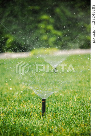 Close view of a working lawn sprinkler spraying water across green grass in a backyard, showing irrigation in action Close view of a working lawn sprinkler spraying water across green grass in a backyard, showing irrigation in action 128249205