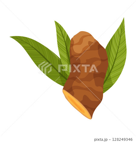 Turmeric root plant, icon. Natural flavor, herbal spice, hand drawn sketch illustration. Detox food ingredient. Vector illustration isolated on white background 128249346