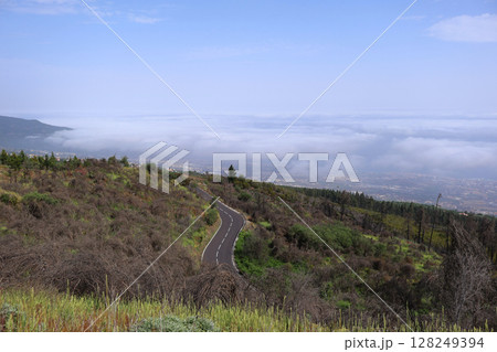 Winding Mountain Road Overlooking a Foggy Landscape with Greenery Winding Mountain Road Overlooking a Foggy Landscape with Greenery 128249394