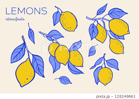 Hand drawn vintage collection of lemon illustrations. Citrus elements. 128249661