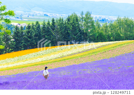 ラベンダー畑  128249711
