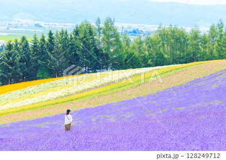 ラベンダー畑  128249712