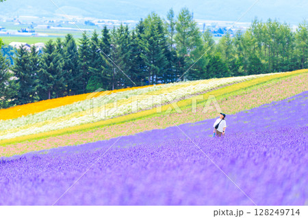 ラベンダー畑  128249714