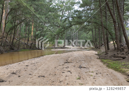 The Capertee River running at low levels in the Wollemi National Park The Capertee River running at low levels in the Wollemi National Park 128249857