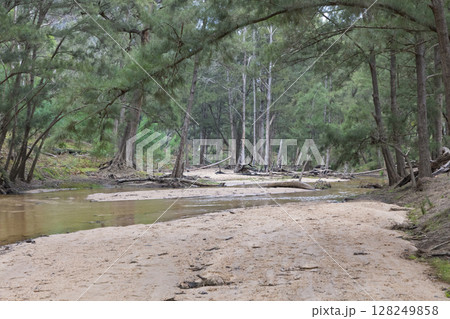 The Capertee River running at low levels in the Wollemi National Park The Capertee River running at low levels in the Wollemi National Park 128249858