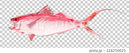 long-tailed sea bream 128250025