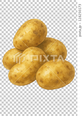 一堆馬鈴薯的水彩插圖 128250173