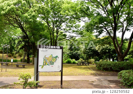 横浜市神奈川区　三ツ沢公園園路と新緑と三ツ沢公園案内図 128250582