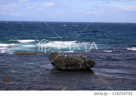 海の風景_北海道 海の風景_北海道 128250701