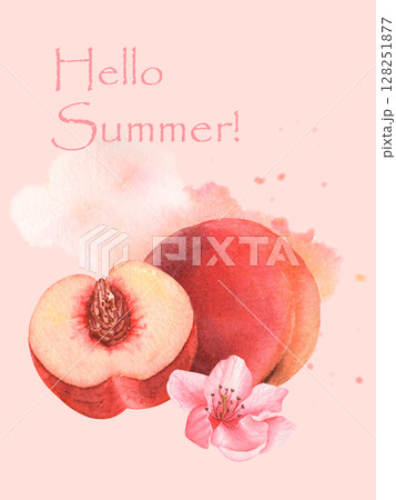 Handmade Watercolor Peaches and flowers on pink background with watercolor spot. Handmade Watercolor Peaches and flowers on pink background with watercolor spot. 128251877