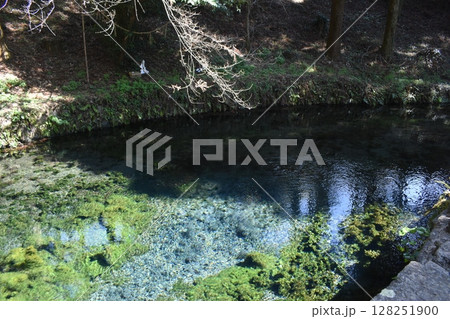 阿蘇 熊本 九州 白川水源 阿蘇 熊本 九州 白川水源 128251900