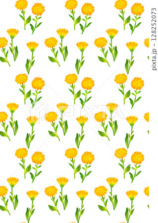 キンセンカ（カレンデュラ）のシームレスパターン　手描き水彩イラスト背景素材 128252073