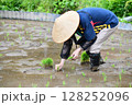 棚田オーナーで田植えをする男性 棚田オーナーで田植えをする男性 128252096
