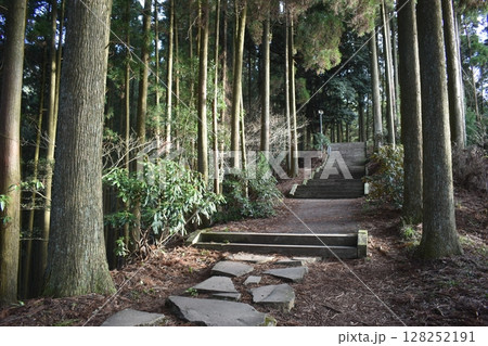 熊本　日本一の石段　3333段の階段　九州 128252191