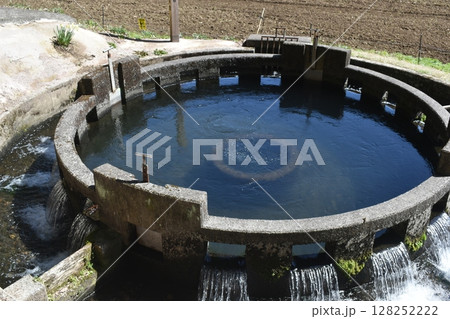 大分　音無井路十二号円形分水 128252222